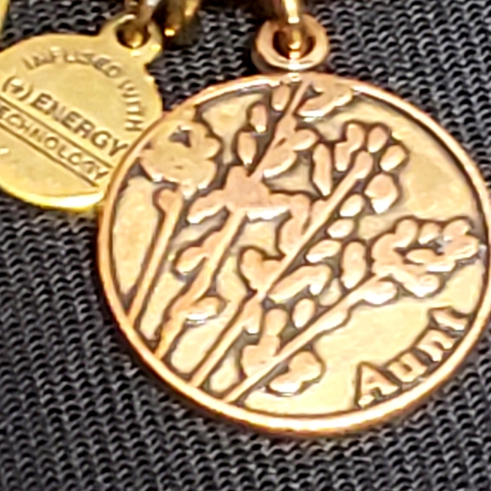 Alex & Ani "Aunt" Rose Goldtone Bracelet - Picture 8 of 9